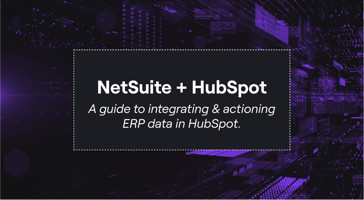 NetSuite Guide