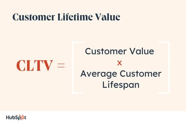 customer lifetime value clv cltv