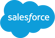 salesforce-with-type-logo 1