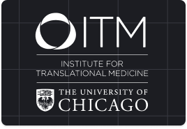 ITM - Logo Image