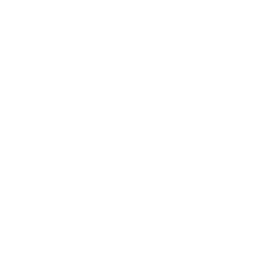 Timer Icon